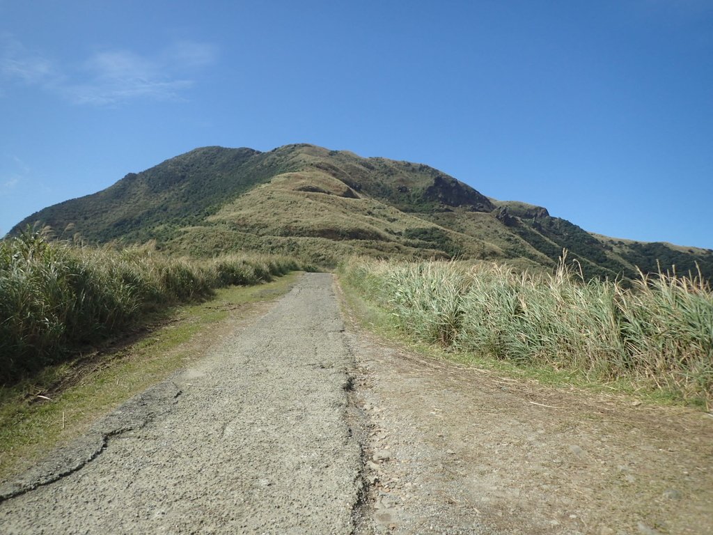 P1216548.JPG - 瑞芳  草山戰備道  (01)