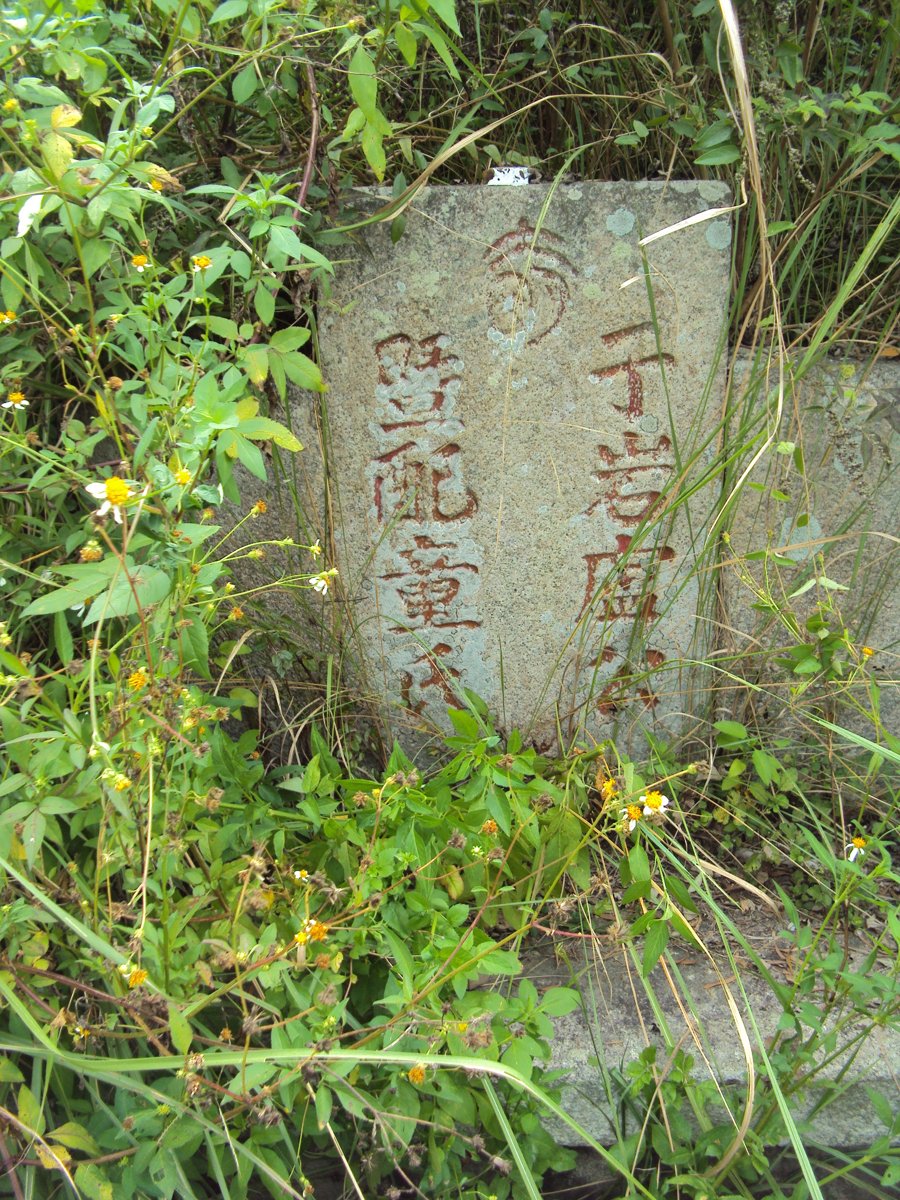 DSC09147.JPG - 夏墅  盧成金墓