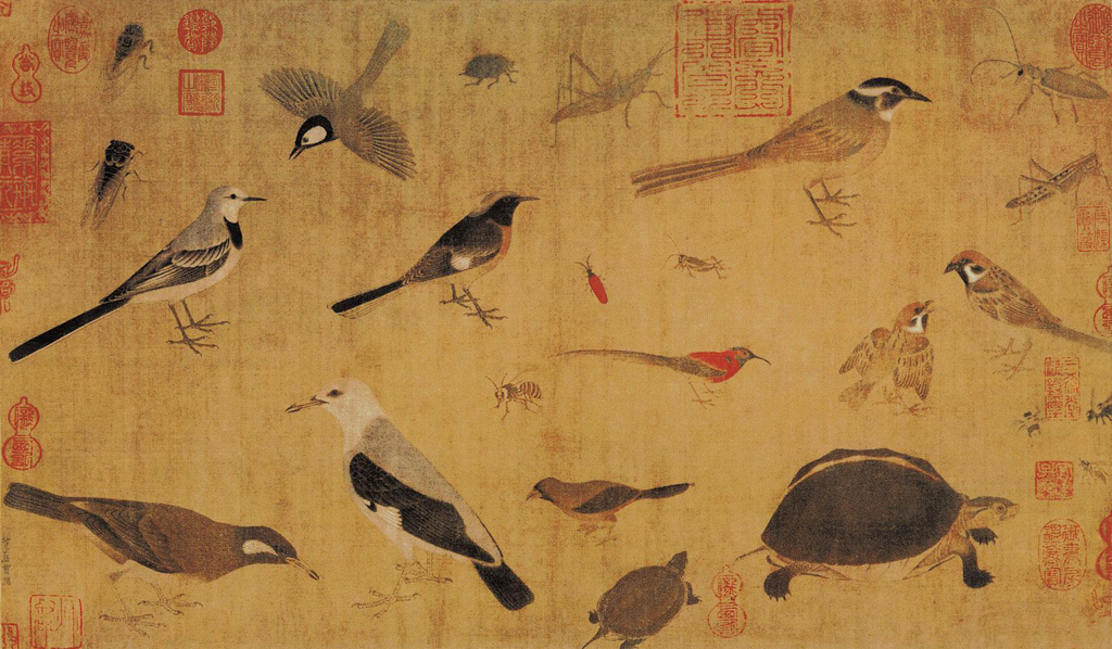 Old-Paintings-of-Birds-Huang-Quan-ca_903-965.jpg - 黃筌  寫生禽鳥圖