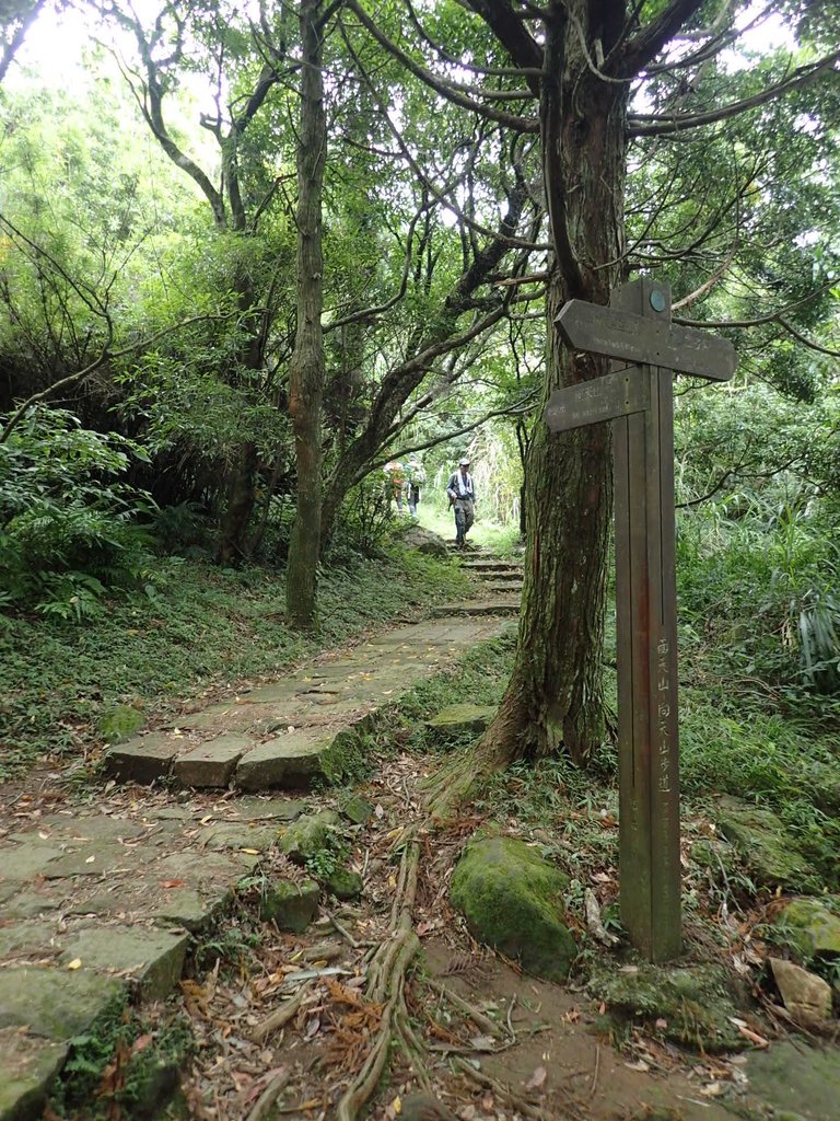 P9238262.JPG - 北投  面天山  向天湖步道