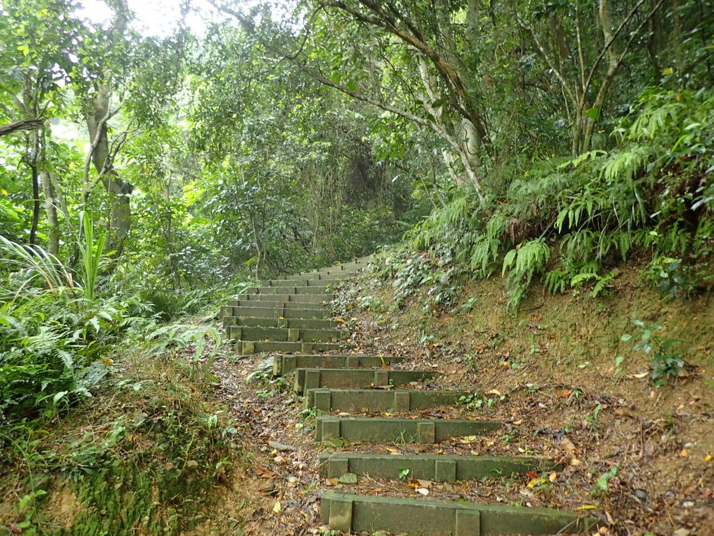 P4051074.JPG - 深坑  炮子崙登山步道