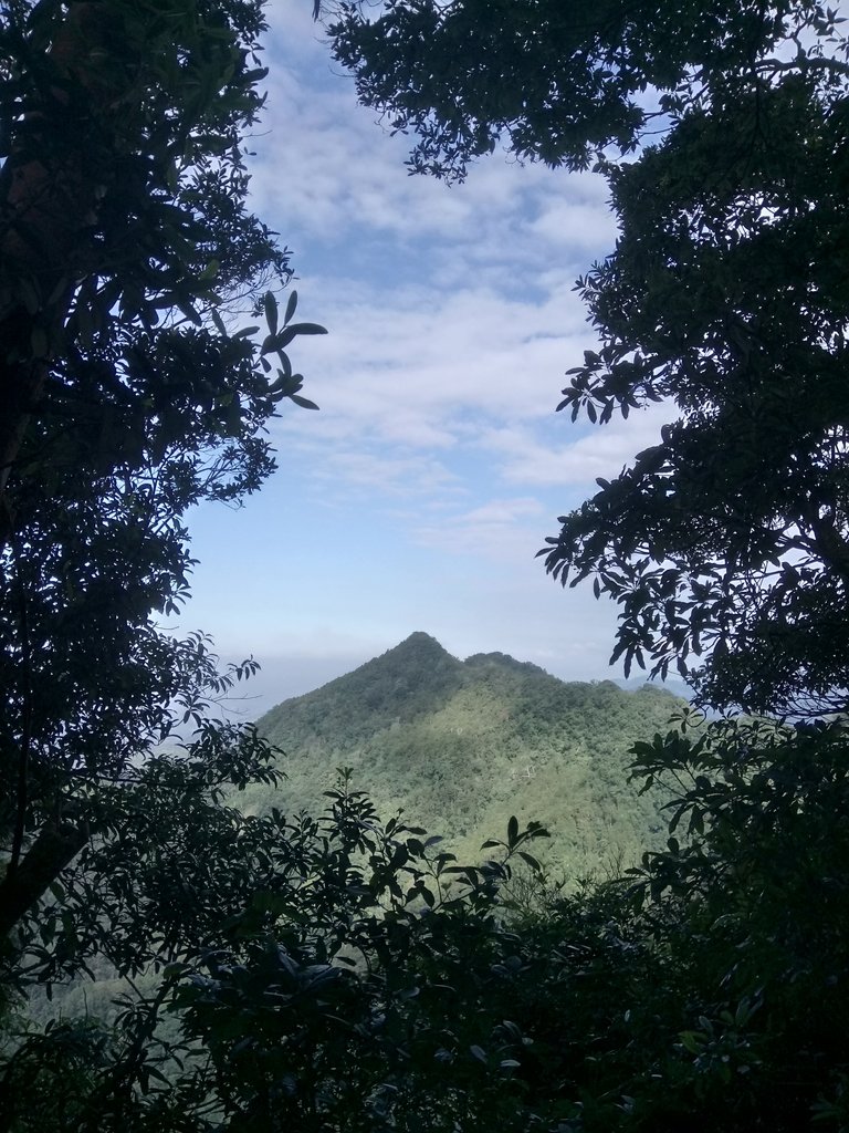 DSC_4767.JPG - 獅潭  仙山