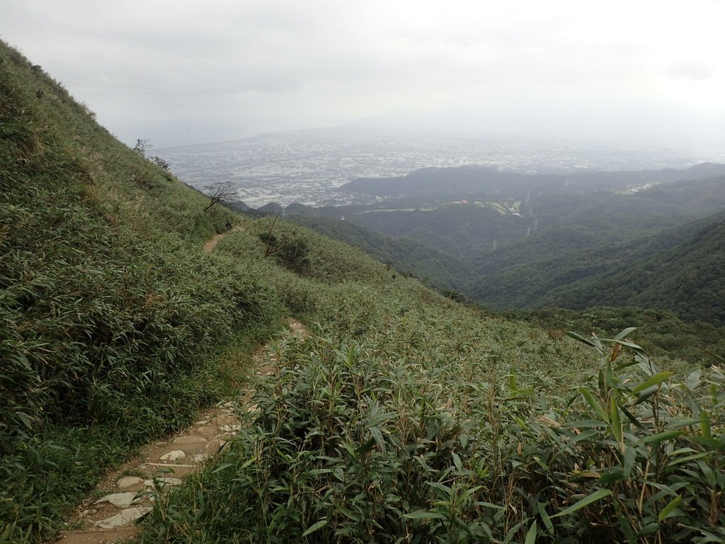 PB159018.JPG - 礁溪  聖母登山步道  (抹茶山)