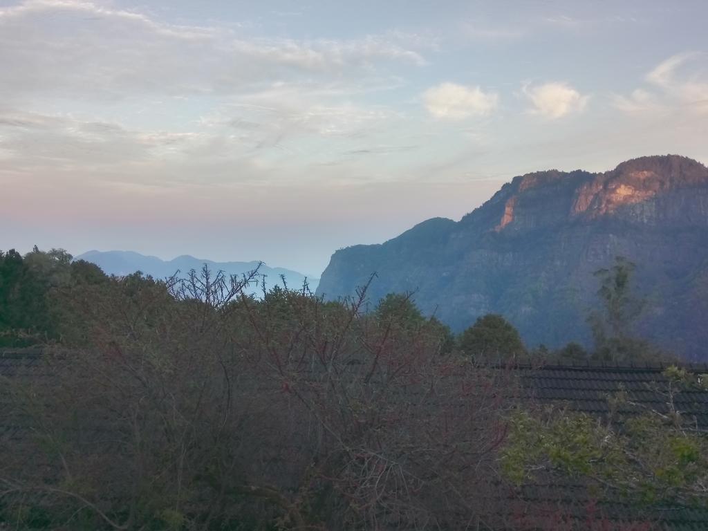 DSC_1622.JPG - 阿里山  沼平公園  賞櫻