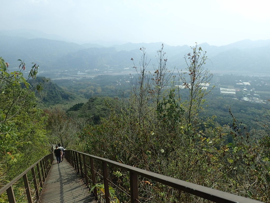 P3016083.JPG - 草屯平林  九九峰森林步道