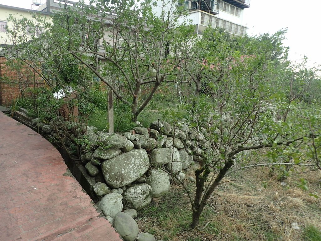 PA064692.JPG - 公館  石圍牆  揆一樓