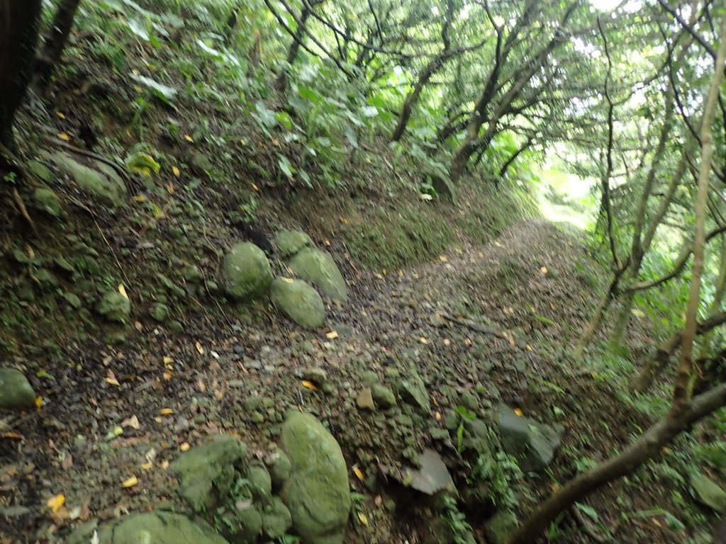 P8317590.JPG - 瑞芳  雞籠山登山步道