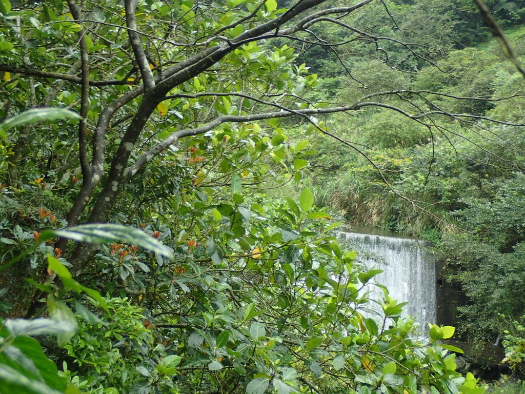 P3240614.JPG - 金瓜石之  外九份溪圳橋