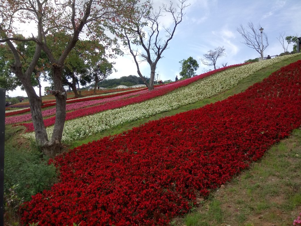 DSC_5426.JPG - 北投社  三層崎公園