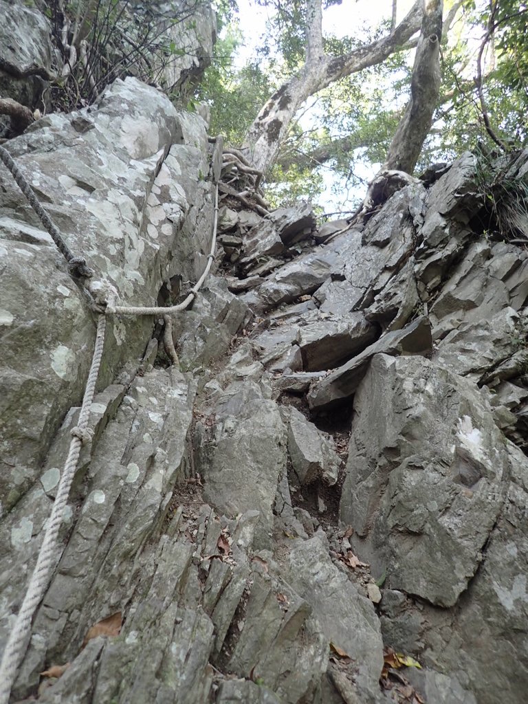 P3167350.JPG - 谷關七雄之  屋我尾山