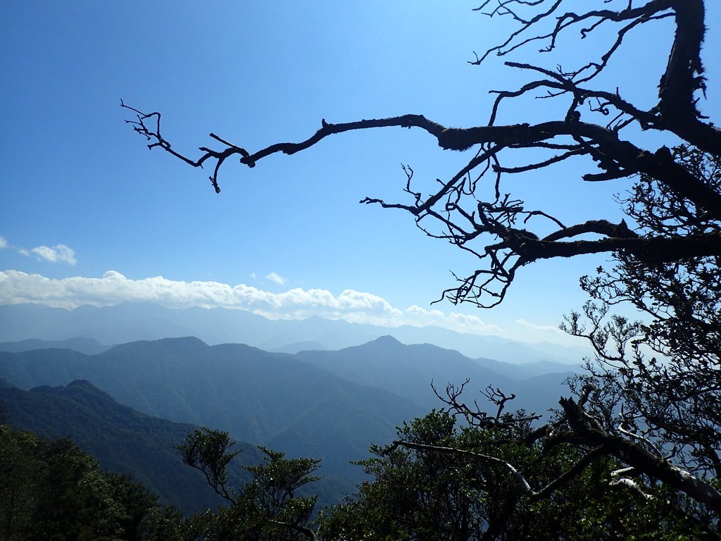 P2034863.JPG - 南庄  加里山