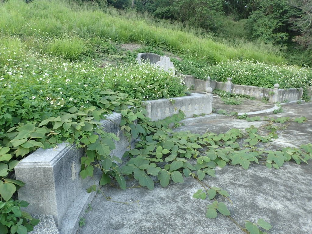 P5012486.JPG - 石岡 食水坑  曾氏陳林媽墓