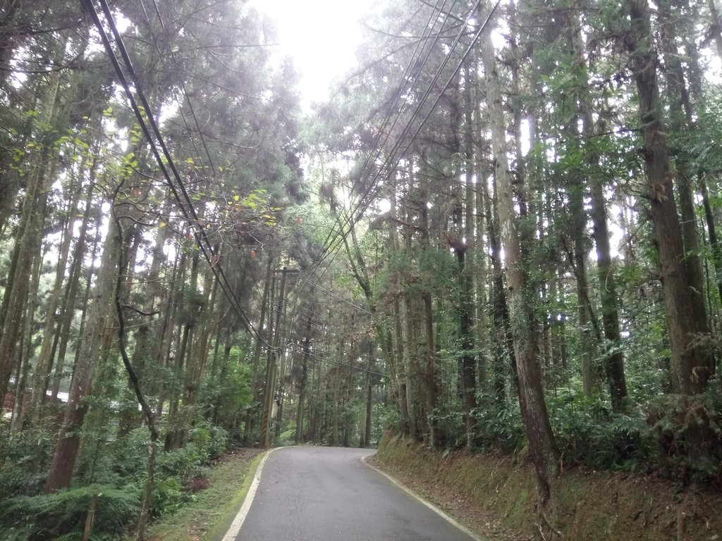 DSC_2876.JPG - 南庄  向天湖山  光天高山