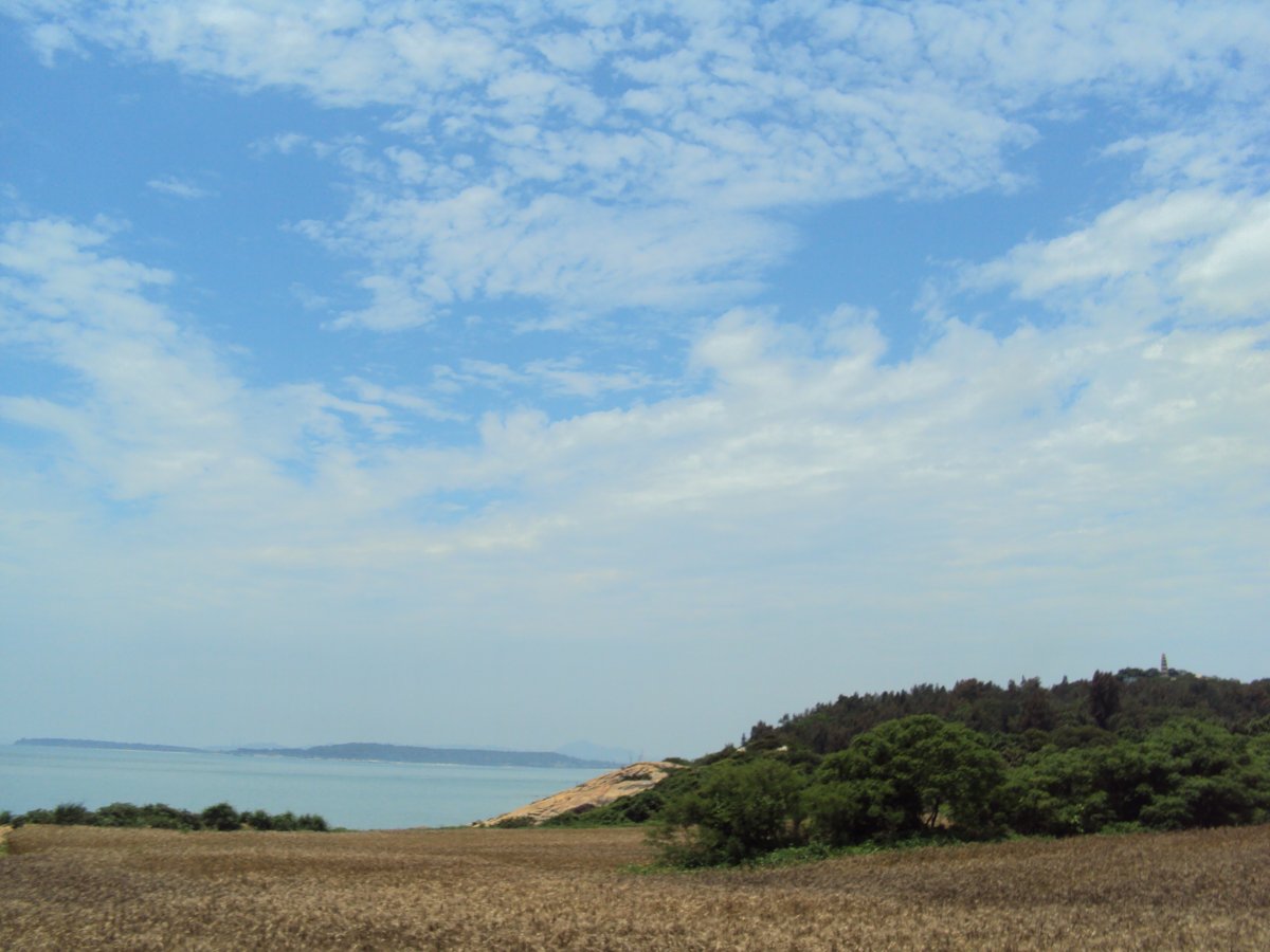 DSC06766.JPG - 水頭村外  麥田風光