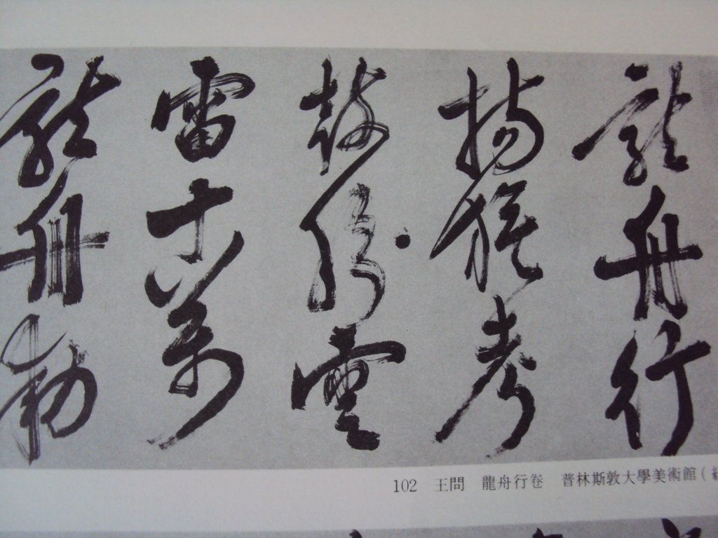 DSC00019.JPG - 王問  草書作品