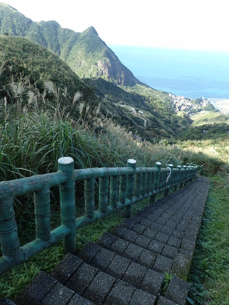 P1102364.JPG - 半坪山  無耳茶壺山