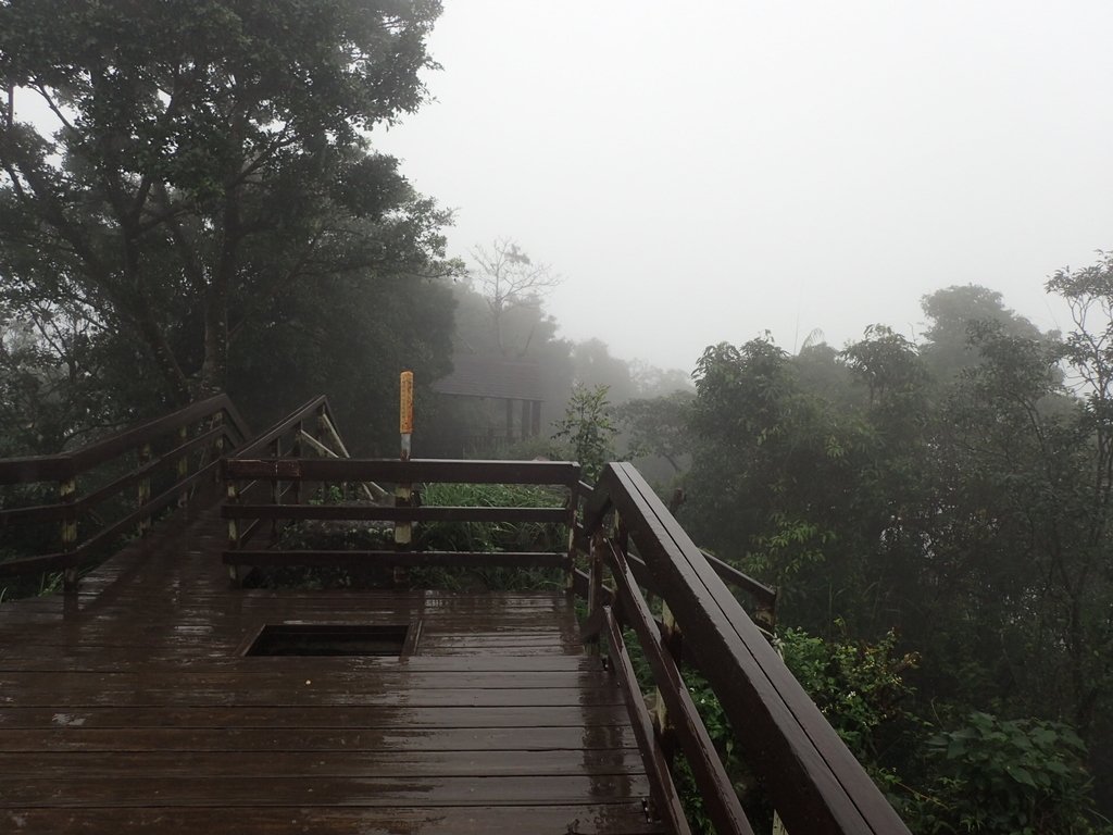 P1062066.JPG - 土城  天上山  登山步道