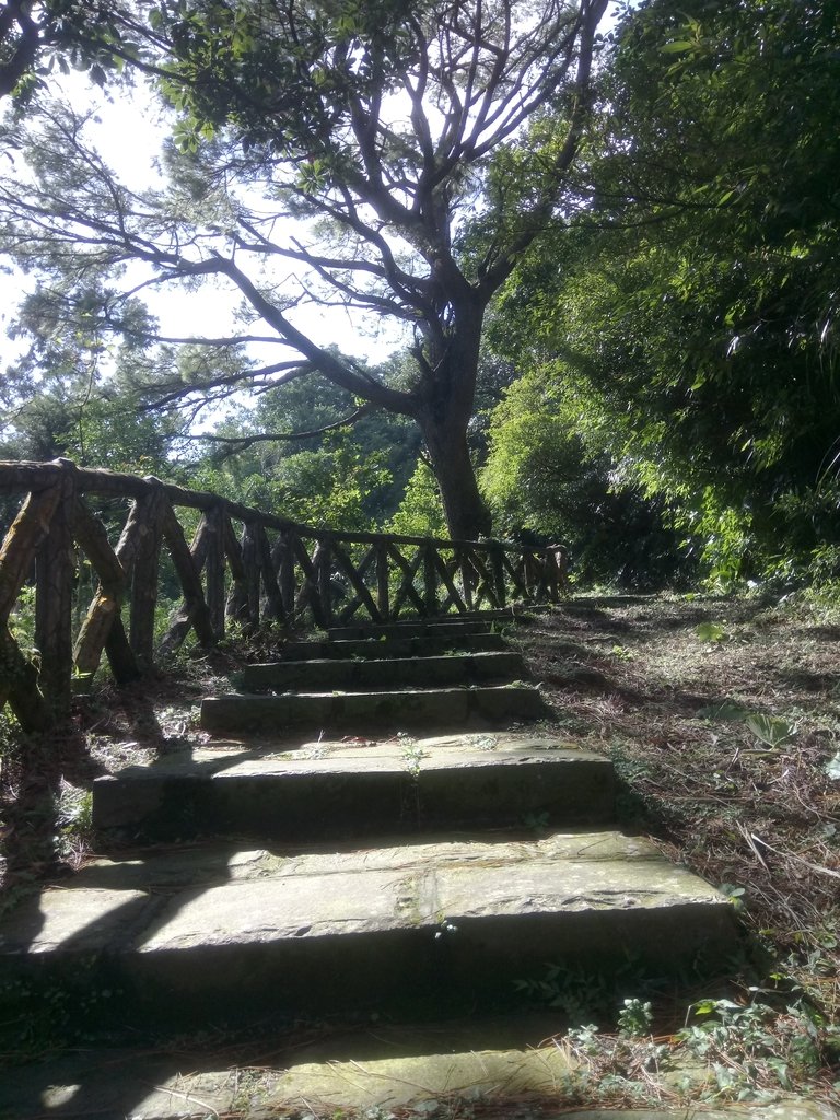 DSC_8789.JPG - 北投  中正山登山步道  02