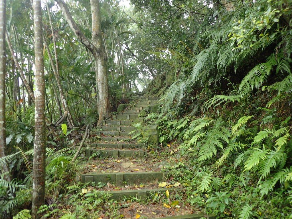 P4051075.JPG - 深坑  炮子崙登山步道