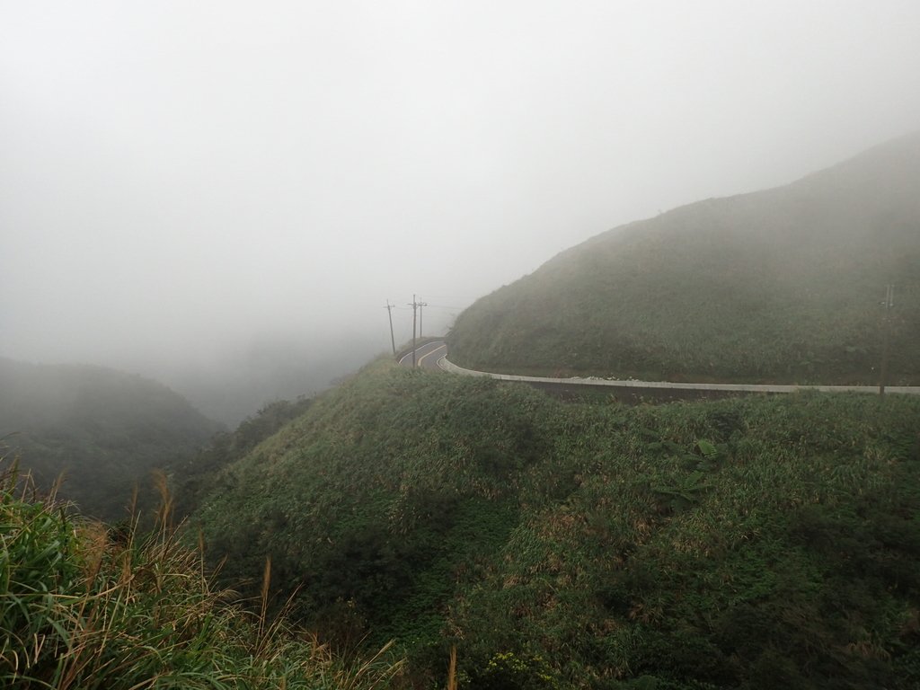 P1203536.JPG - 瑞芳  牡丹山