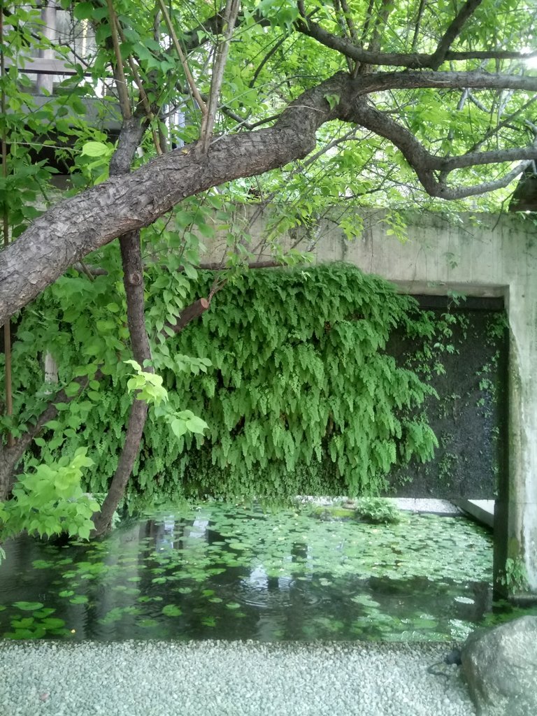 DSC_0515.JPG - 大里  菩薩寺