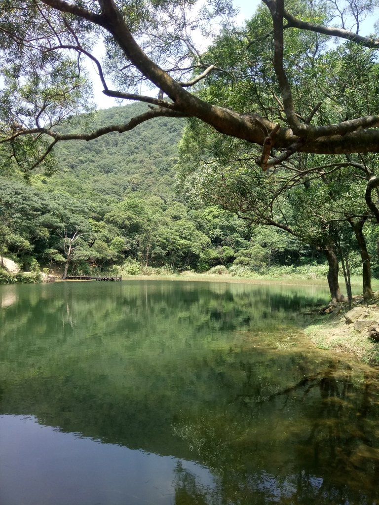 DSC_8303.JPG - 汐止  新山夢湖