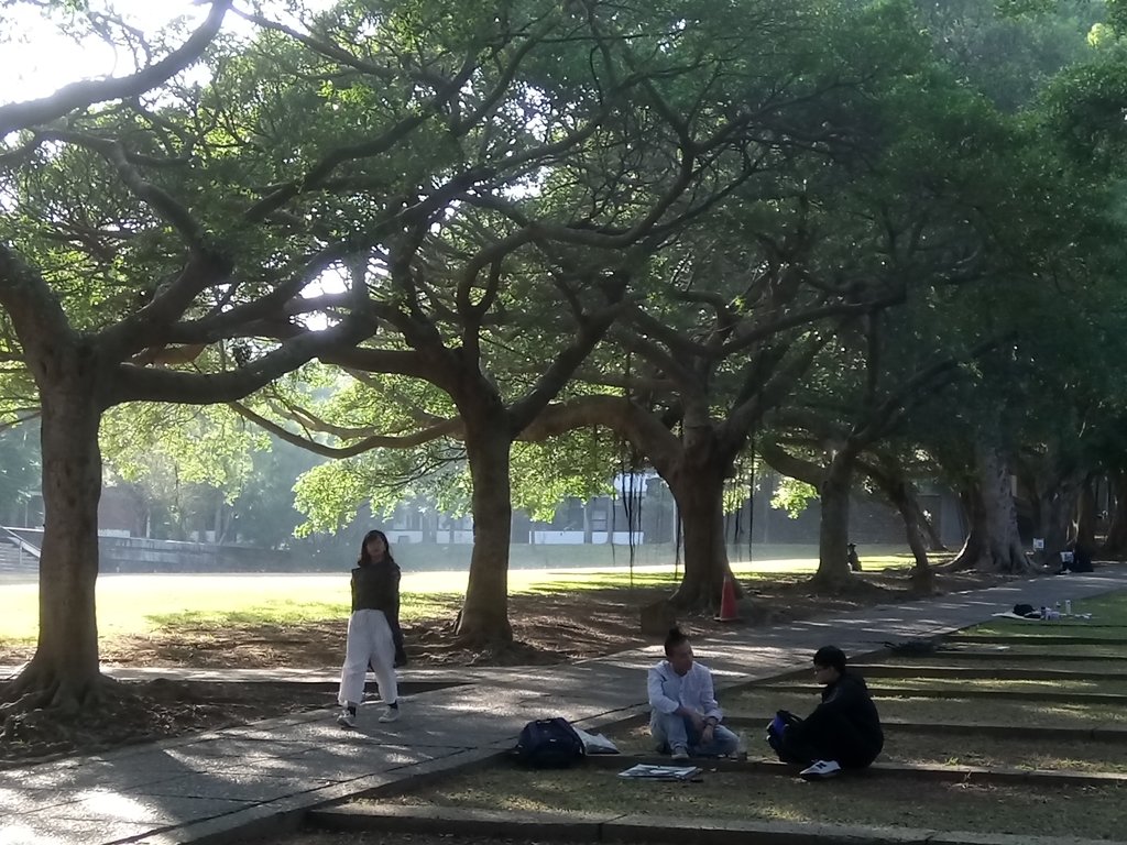 DSC_3285.JPG - 台中  東海大學校園巡禮