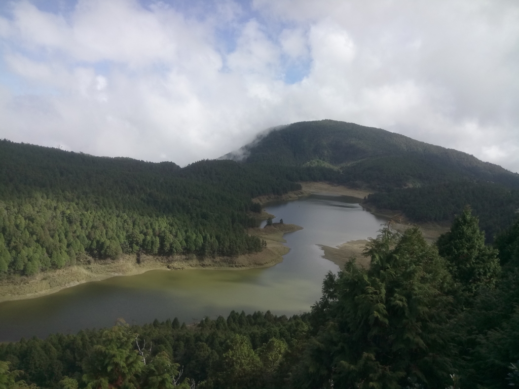 DSC_0118.JPG - 太平山  翠峰湖環山步道  01