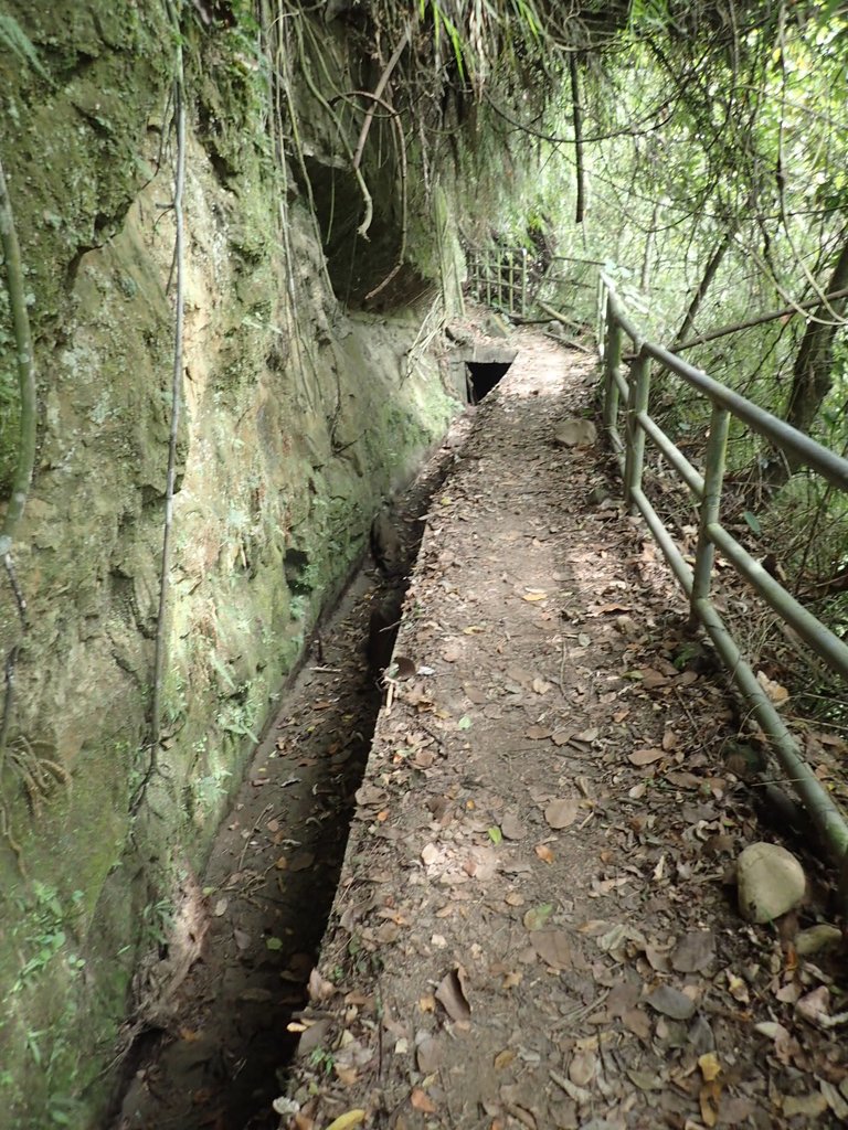 PA171297.JPG - 鹿谷  長源圳古道