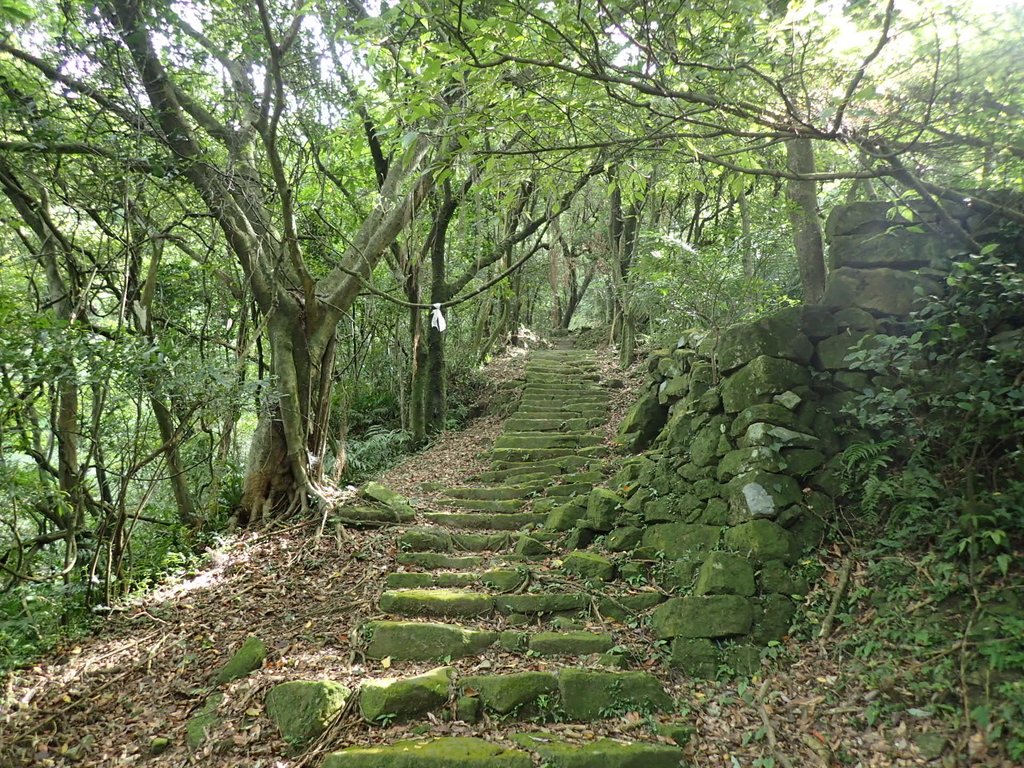 P7062142.JPG - 九份  小粗坑越嶺古道