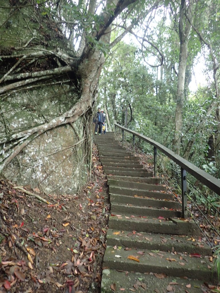 P1294479.JPG - 獅頭山  獅山古道  (01)