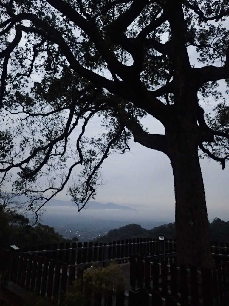 P1294597.JPG - 大湖  關刀山步道  (聖關段)