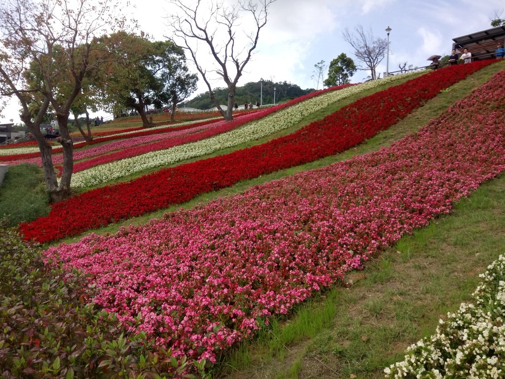 DSC_5431.JPG - 北投社  三層崎公園