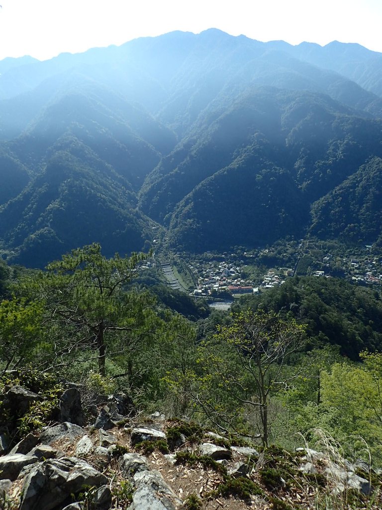 P3167173.JPG - 谷關  東卯山東南稜