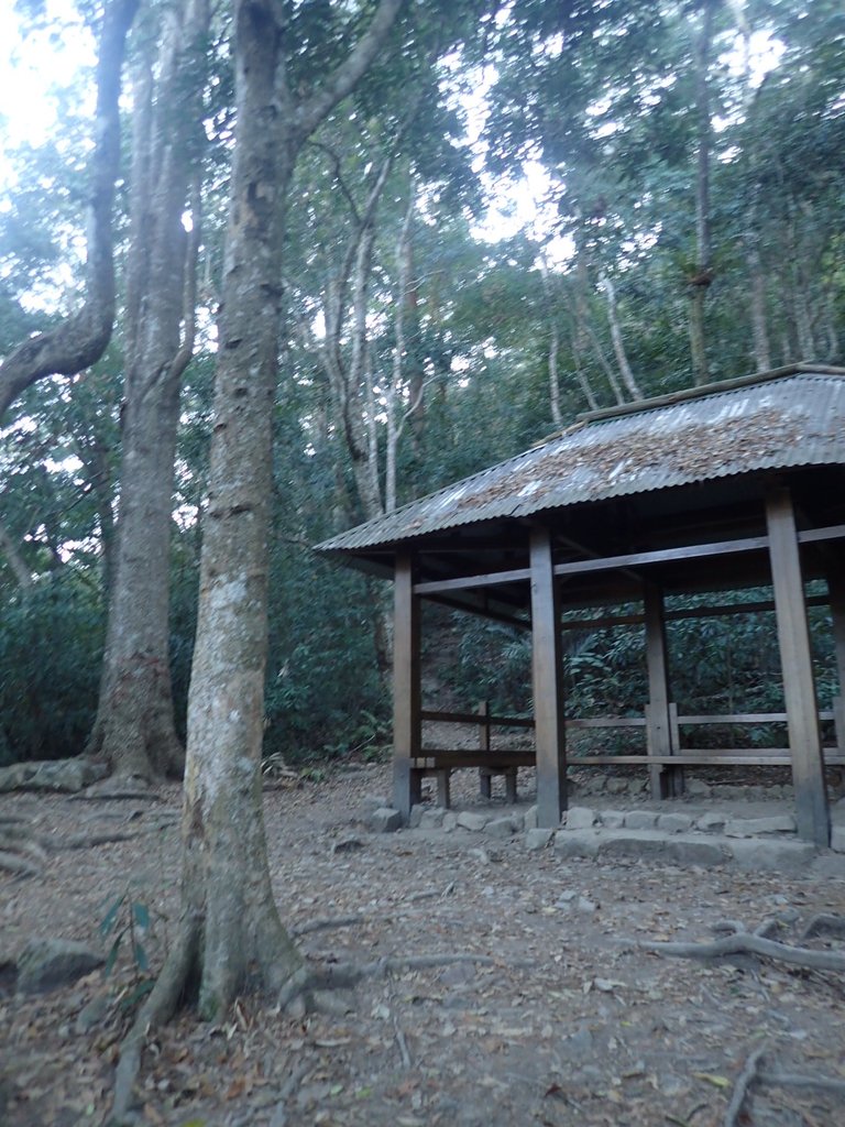 P2275866.JPG - 谷關七雄之  唐麻丹山