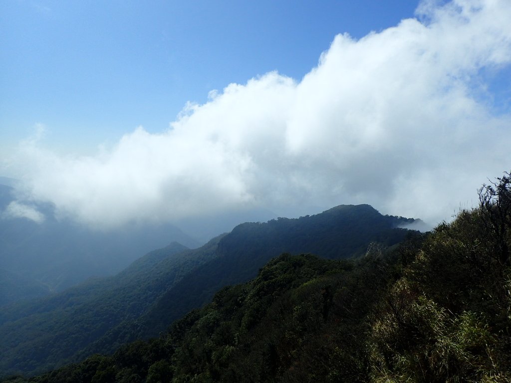 P2034871.JPG - 南庄  加里山