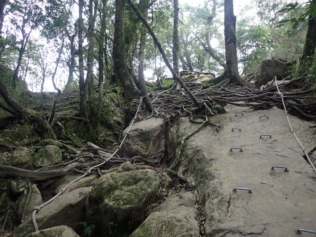 P2034932.JPG - 南庄  加里山