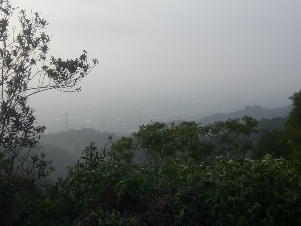 DSC_7490.JPG - 小百岳  橫山觀日步道