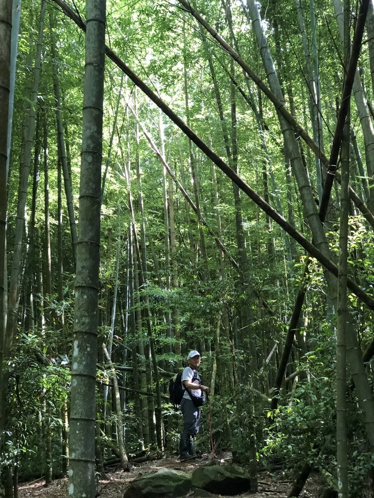 IMG_7650.JPG - 台中和平  長壽山登山步道  (中)