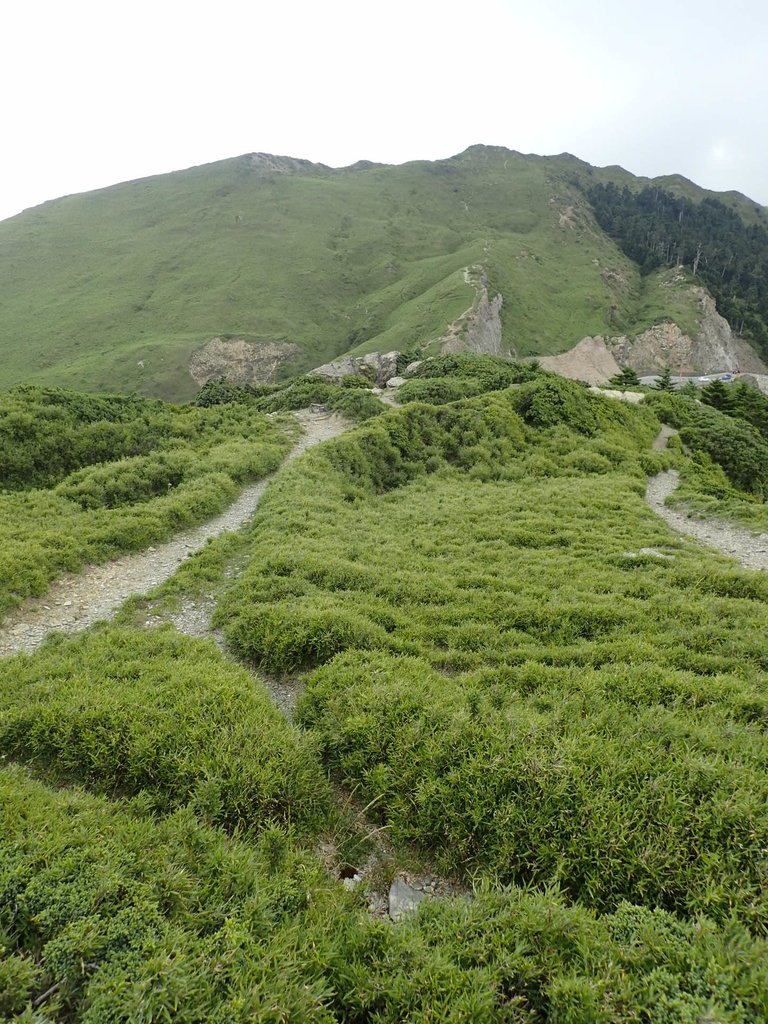 P7246071.JPG - 石門山步道