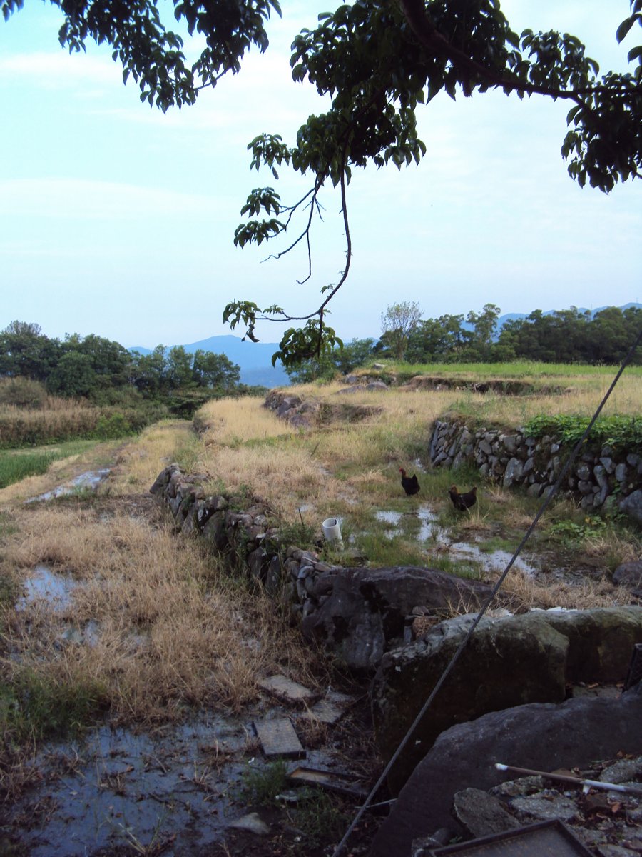 DSC09055.JPG - 金山  葵扇湖田野風光(二) 