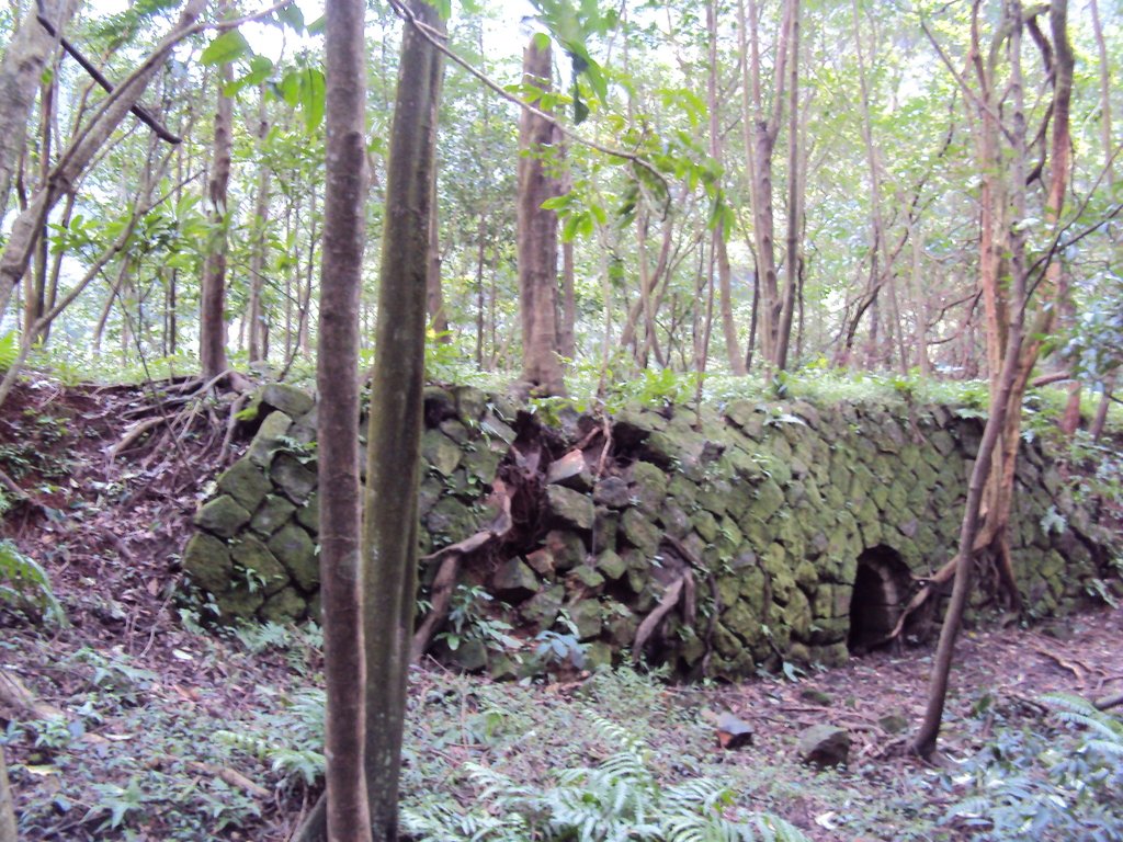 DSC03317.JPG - 瑞芳  粗坑口登山步道