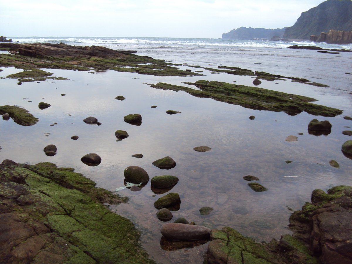 DSC06349.JPG - 瑞芳  南雅海岸岩石之美