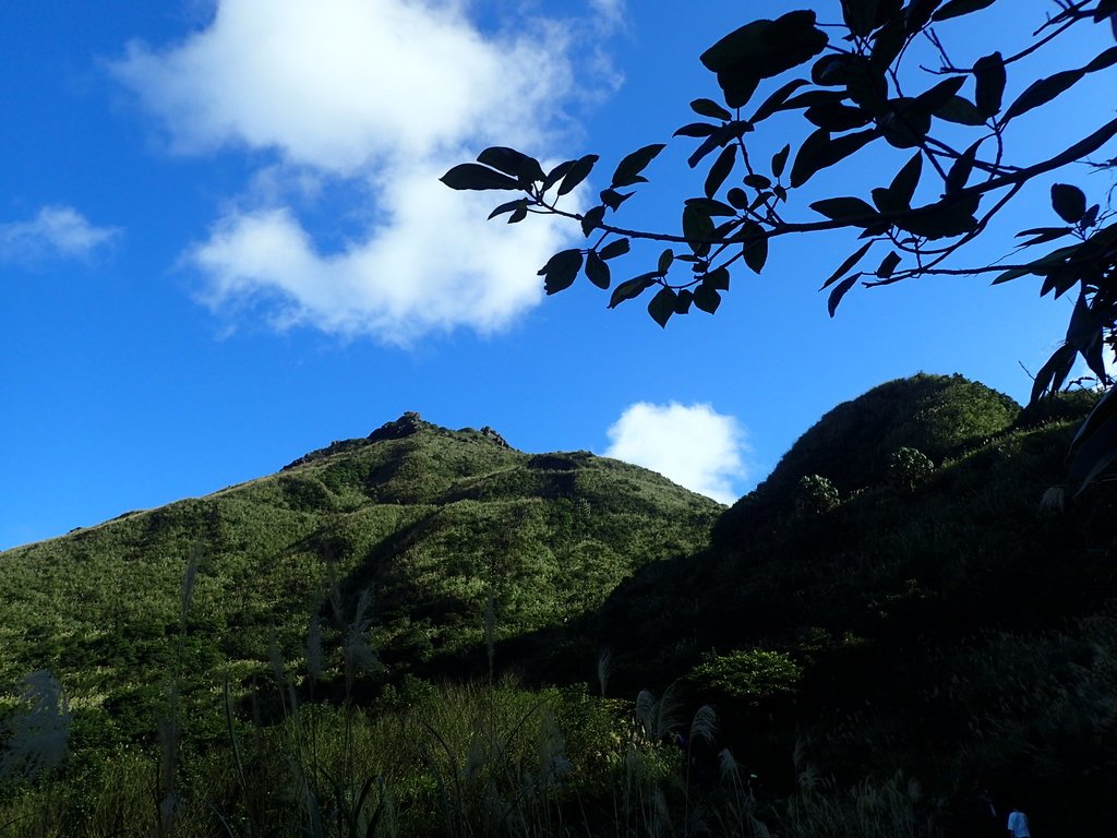 P1102366.JPG - 半坪山  無耳茶壺山