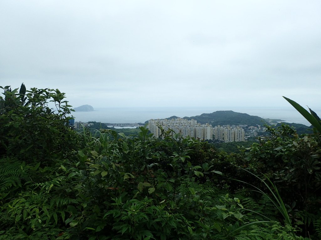 P4143564.JPG - 基隆  五坑山  總督嶺步道