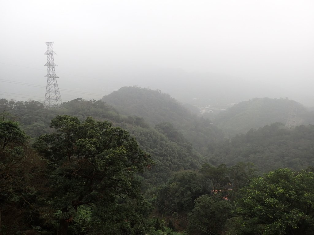 P3029036.JPG - 三峽  日月洞  廣照禪寺