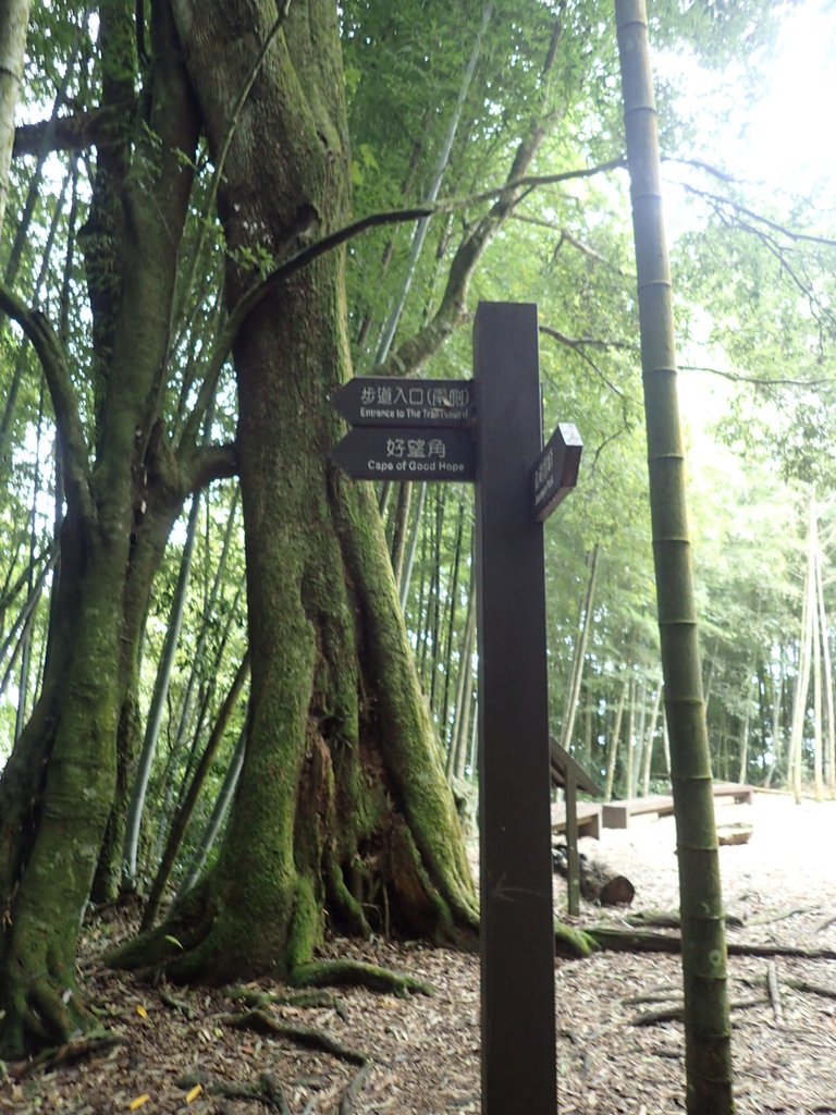 PA231706.JPG - 石壁山  嘉南雲峰步道