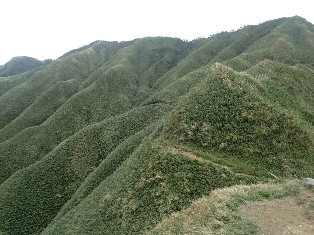 PB159026.JPG - 礁溪  聖母登山步道  (抹茶山)