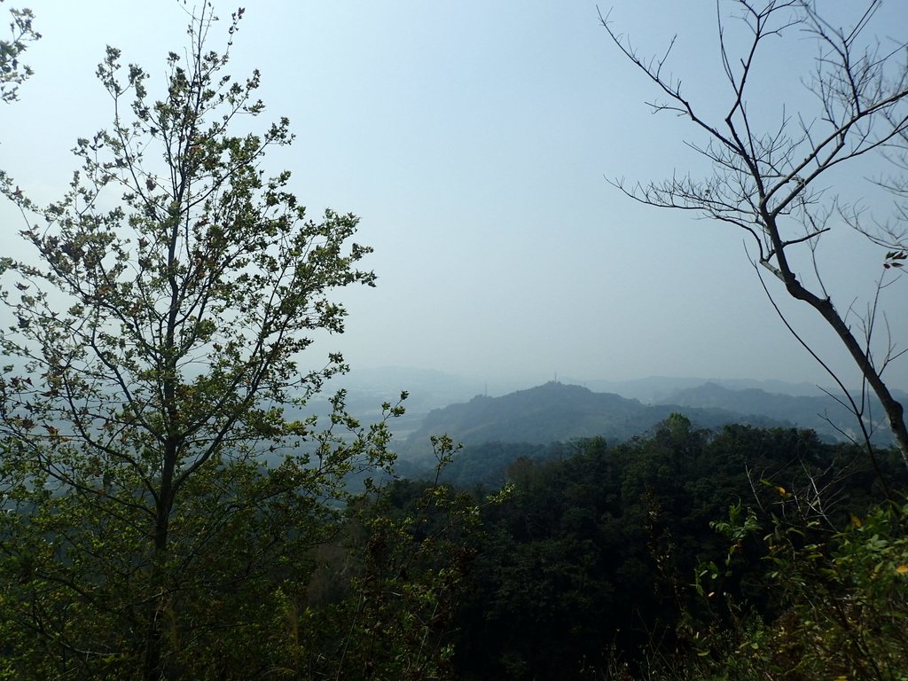 P3016090.JPG - 草屯平林  九九峰森林步道