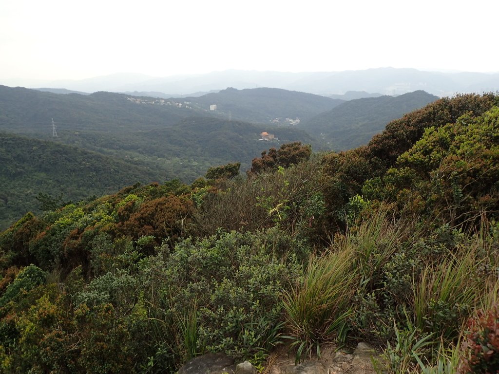 P3160147.JPG - 汐止  金面山(金明山)  稜線步道